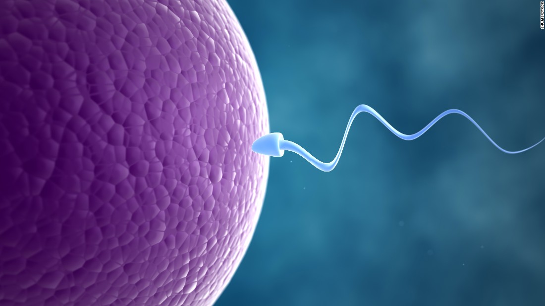 How to Challenge Infertility Issues and Treatments to Overcome Them