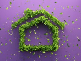 4 Ways to Make Your Home More Sustainable