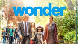 Wonder