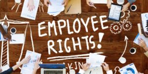 What are employees rights
