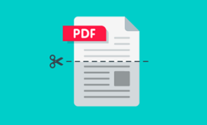 Minor Editing To Your PDFs