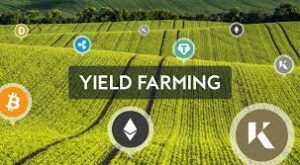 What is Crypto Yield Farming