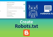 create custom robot stxt file
