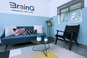 BrainQ