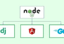 Node.js Alternatives