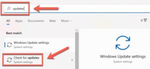 Click Check For Updates when it displays after typing Updates