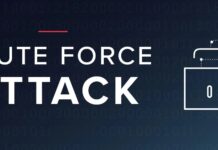 What Is A Brute Force Attack